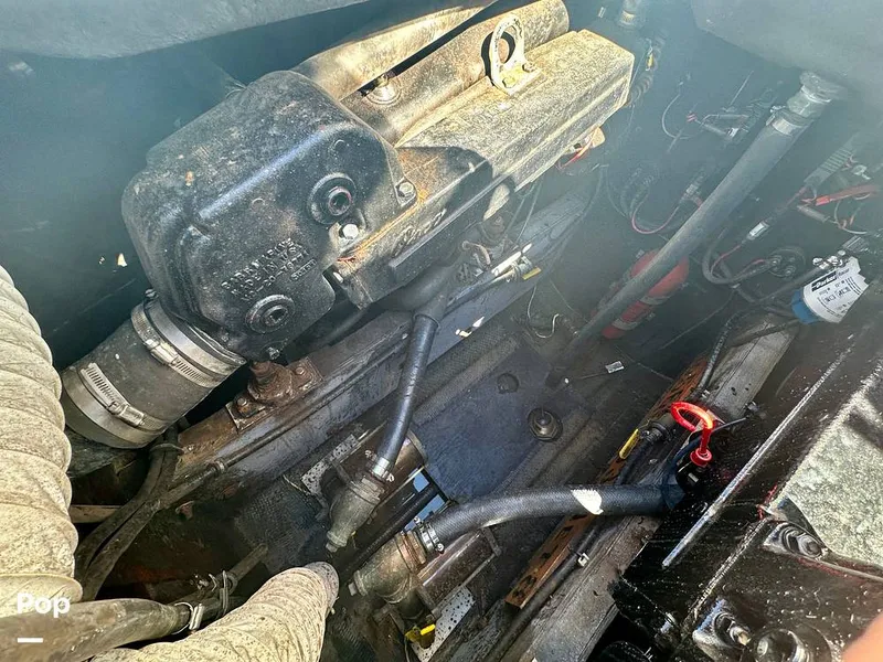 Slide: The Image of Bertram 28 Flybridge Sportfisherman 1975 - 15987182