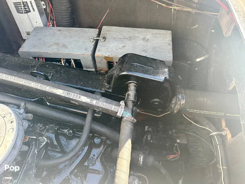 Slide: The Image of Bertram 28 Flybridge Sportfisherman 1975 - 15987188