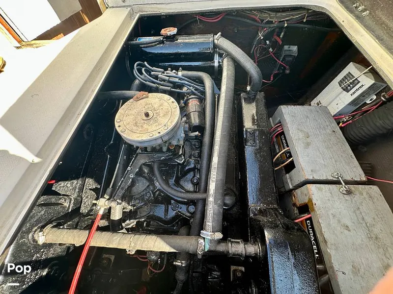 Slide: The Image of Bertram 28 Flybridge Sportfisherman 1975 - 15987194