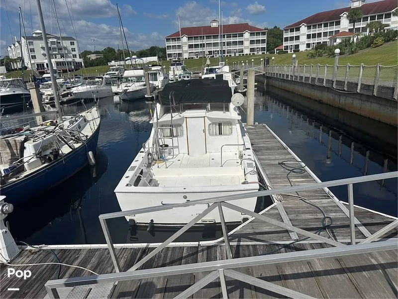 Slide: The Image of Bertram 28 Flybridge Sportfisherman 1975 - 15912444