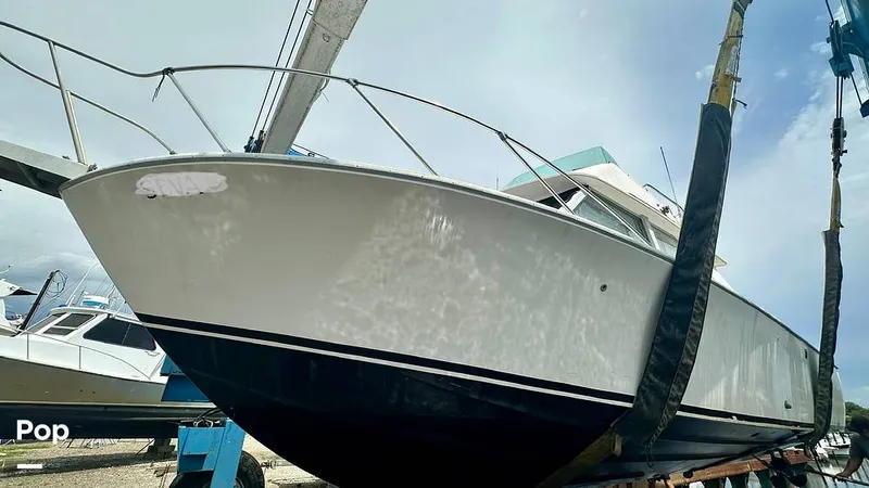Slide: The Image of Bertram 28 Flybridge Sportfisherman 1975 - 16643754