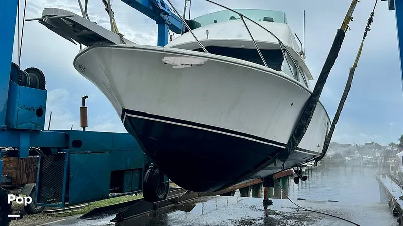 Slide: The Image of Bertram 28 Flybridge Sportfisherman 1975 - 16643759