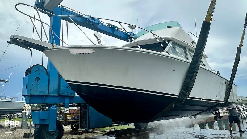 Slide: The Image of Bertram 28 Flybridge Sportfisherman 1975 - 16643758