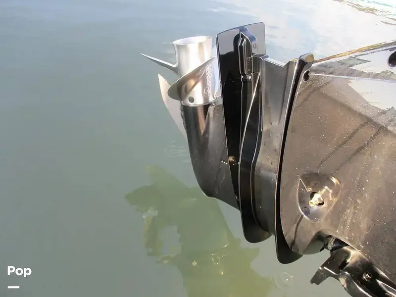 Slide: The Image of Aquasport 220 CC 2024 - 15602474