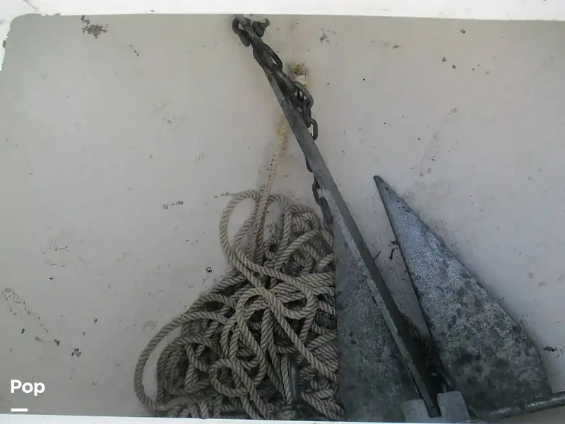 Slide: The Image of Aquasport 220 CC 2024 - 15602460