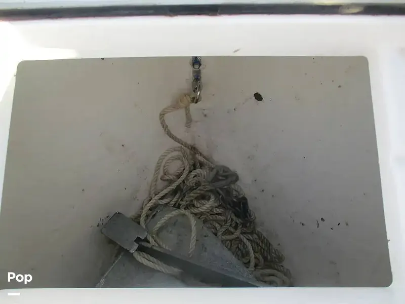 Slide: The Image of Aquasport 220 CC 2024 - 15601959