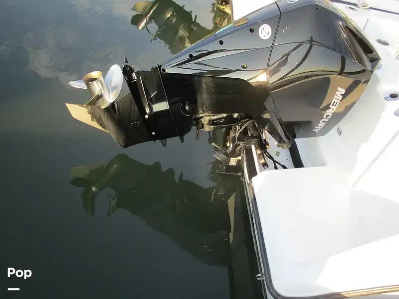 Slide: The Image of Aquasport 220 CC 2024 - 15601987