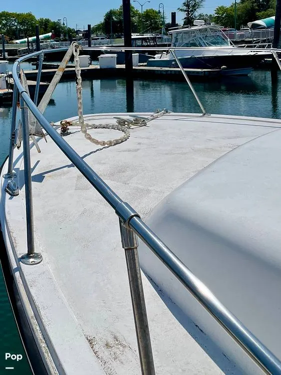 Slide: The Image of Topaz 29 1983 - 15708204