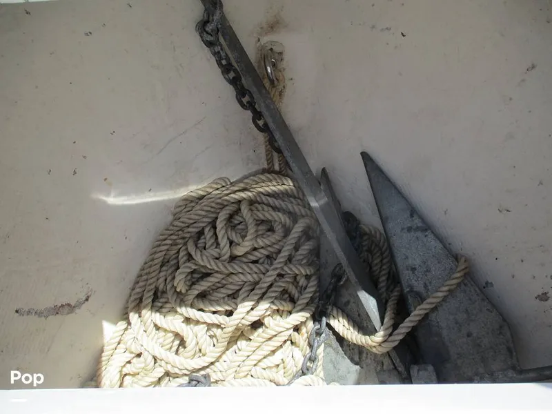 Slide: The Image of Aquasport 220 CC 2024 - 15609443