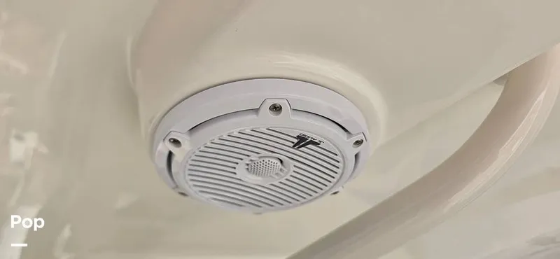 Slide: The Image of Boston Whaler 270 Dauntless 2019 - 15597692