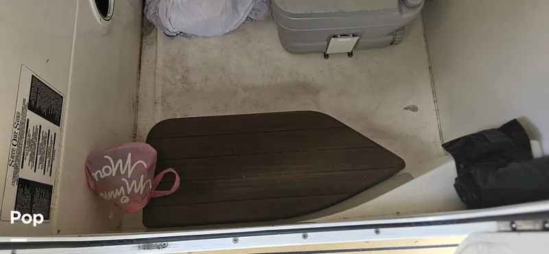 Slide: The Image of Boston Whaler 270 Dauntless 2019 - 15597697