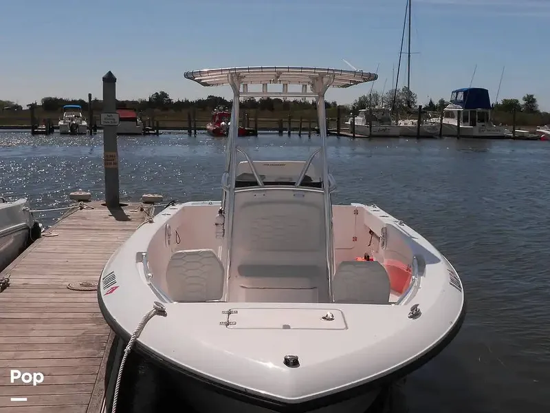 Slide: The Image of Aquasport 220 CC 2024 - 15601872