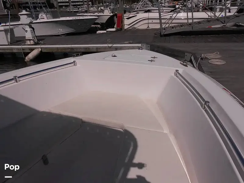 Slide: The Image of Aquasport 220 CC 2024 - 15601848