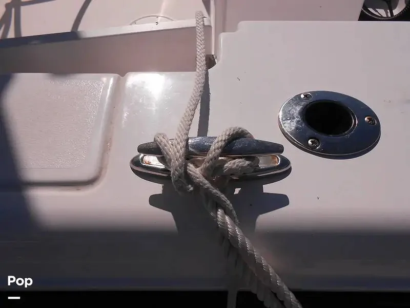 Slide: The Image of Aquasport 220 CC 2024 - 15601882