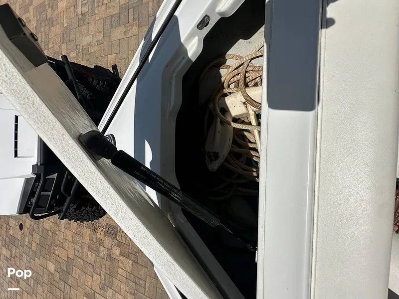 Slide: The Image of Cobalt 226 1999 - 15681777