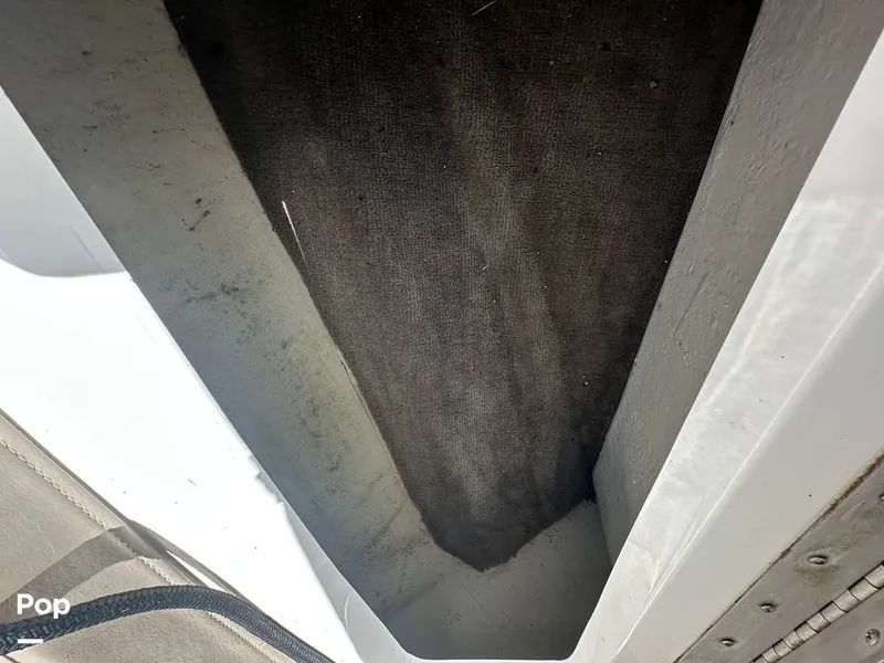 Slide: The Image of Cobalt 226 1999 - 15681779