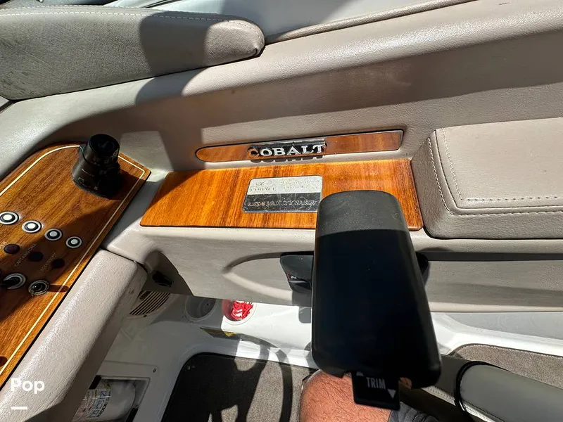 Slide: The Image of Cobalt 226 1999 - 15681792