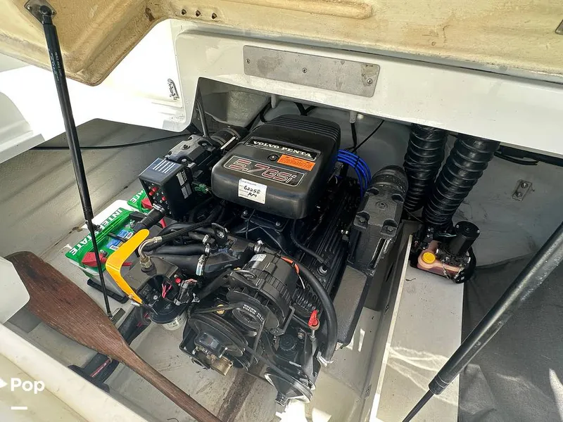 Slide: The Image of Cobalt 226 1999 - 15681795