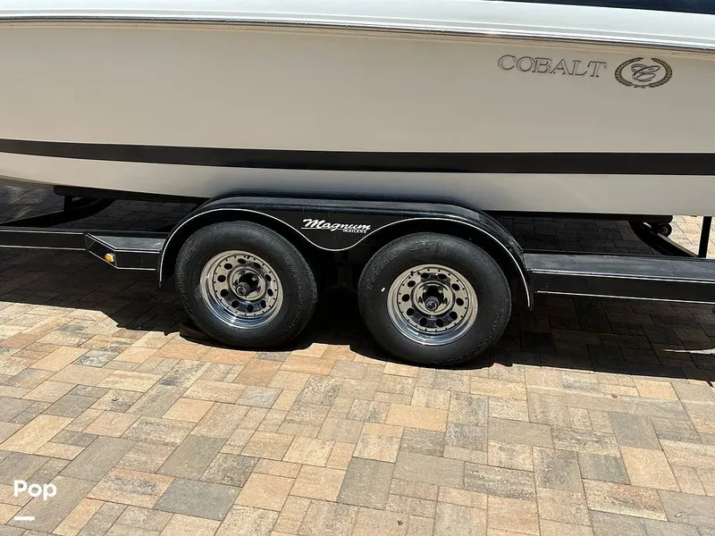 Slide: The Image of Cobalt 226 1999 - 15681825