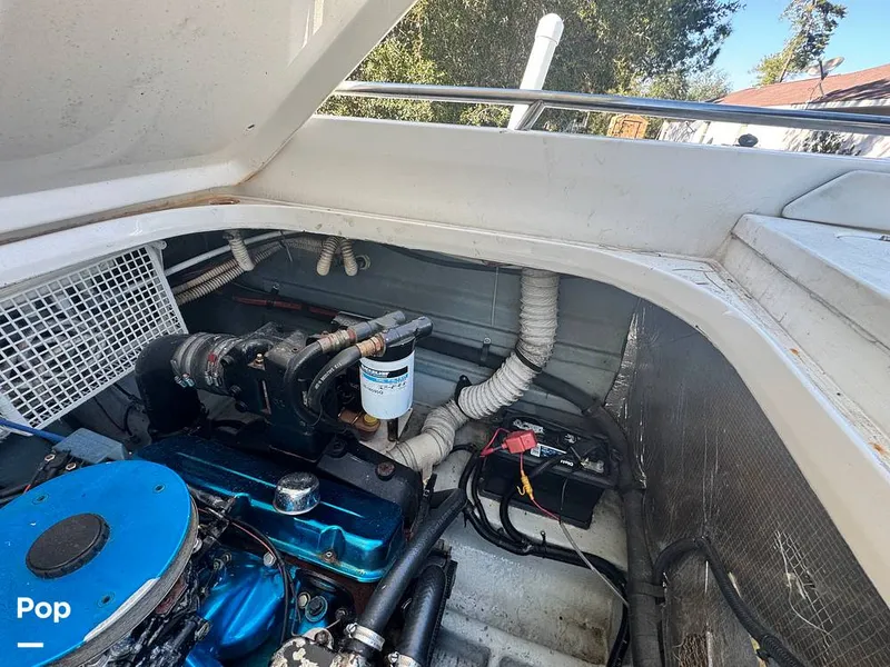 Slide: The Image of Sea Ray 310 Sun Sport 1994 - 16071205