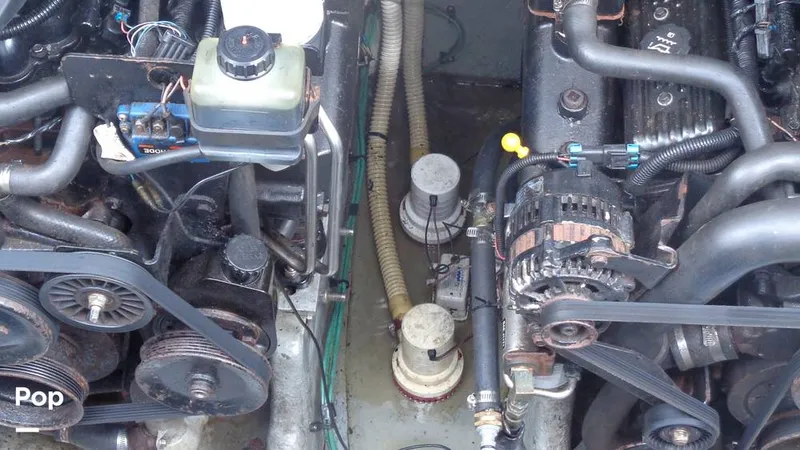 Slide: The Image of Sea Ray 290 Amberjack 2003 - 15632304