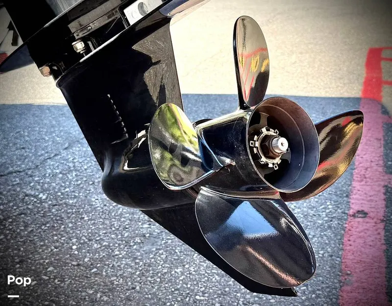 Slide: The Image of Bayliner DX 2000 2021 - 15794932