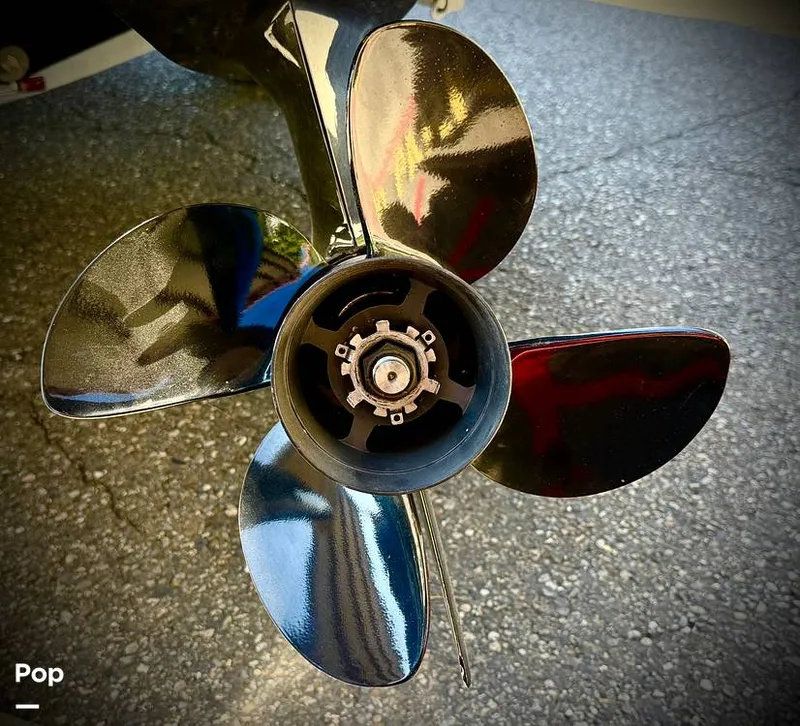 Slide: The Image of Bayliner DX 2000 2021 - 15794848