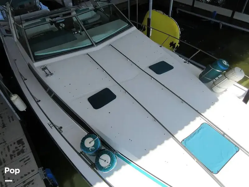 Slide: The Image of Sea Ray 390 Express Cruiser 1989 - 15641028