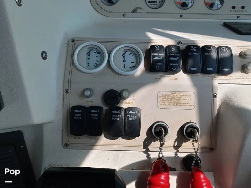 Slide: The Image of Cruisers 3375 Rogue 1996 - 15673225