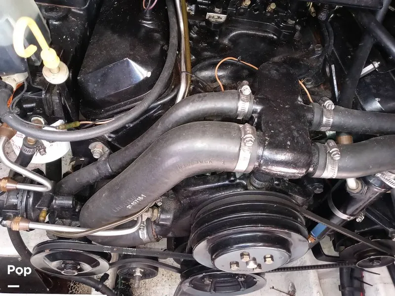 Slide: The Image of Cruisers 3375 Rogue 1996 - 15673299