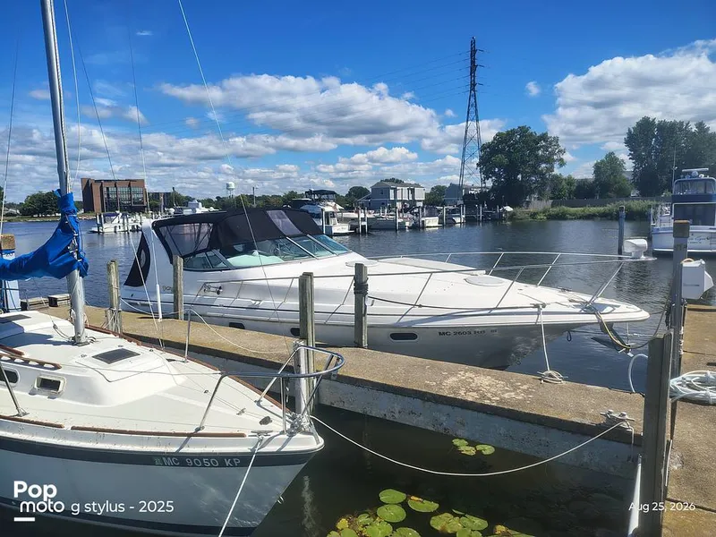 Slide: The Image of Cruisers 3375 Rogue 1996 - 16691162