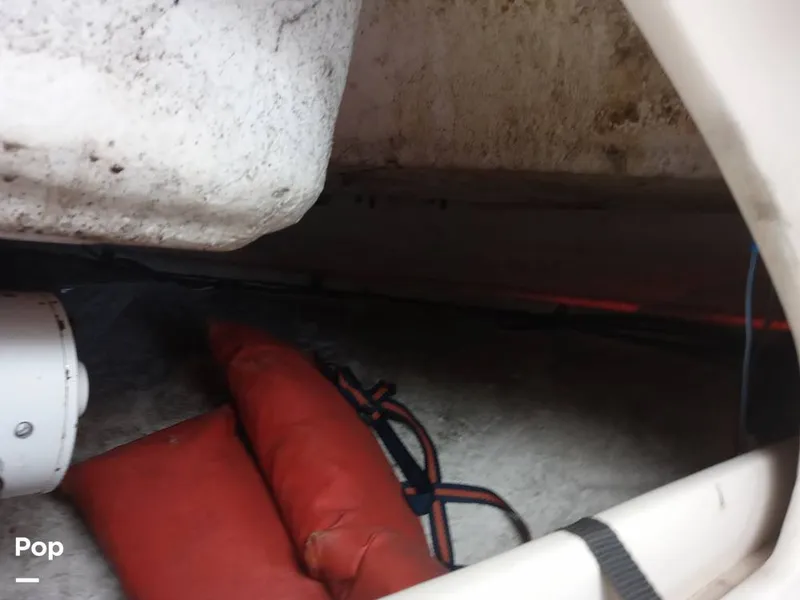 Slide: The Image of Cruisers 3375 Rogue 1996 - 15673175