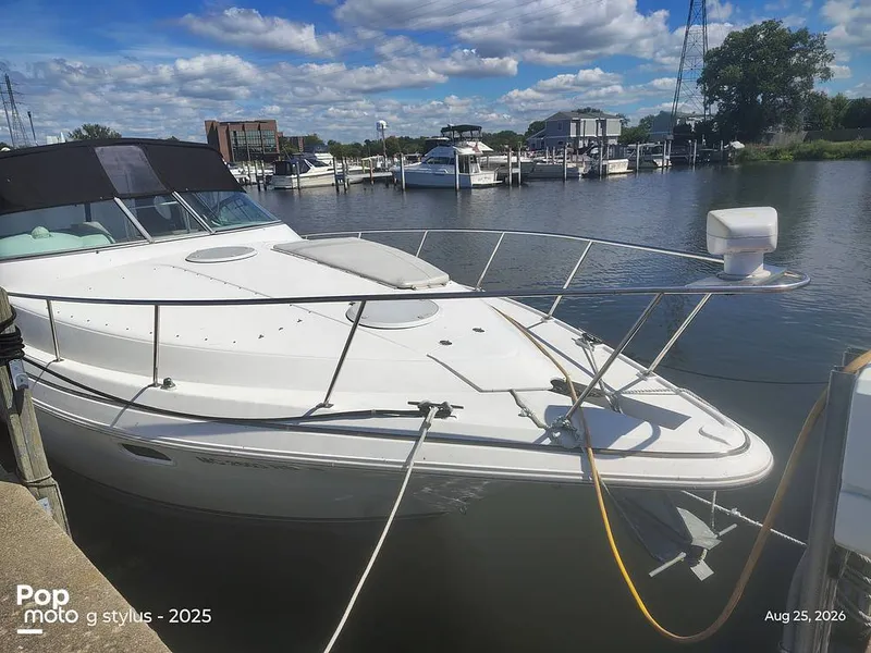 Slide: The Image of Cruisers 3375 Rogue 1996 - 16691150