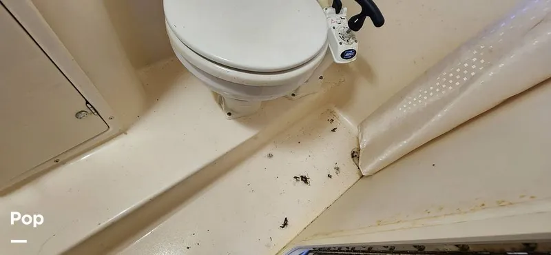 Slide: The Image of Rinker Fiesta Vee 270 2004 - 15688198