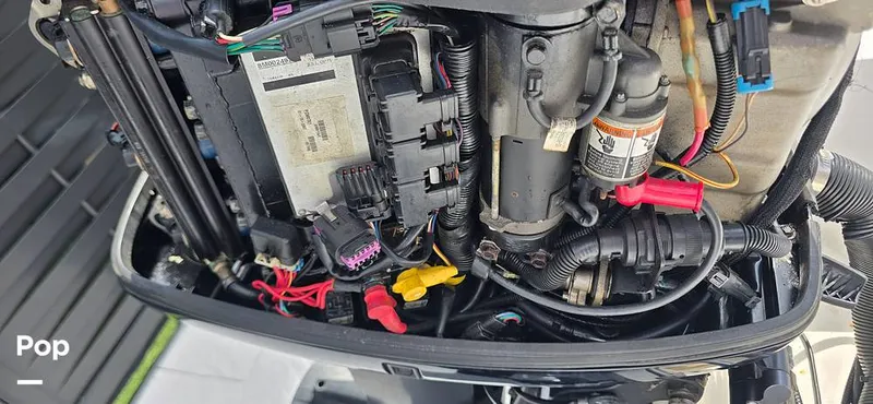 Slide: The Image of Angler 204 WA Limited Edition 2007 - 15641345