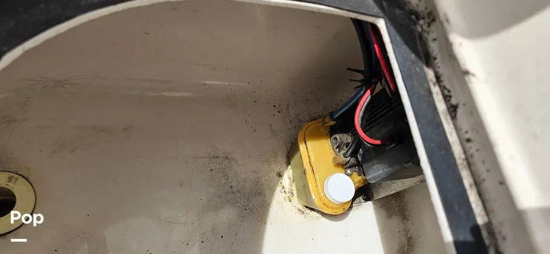 Slide: The Image of Angler 204 WA Limited Edition 2007 - 15641347