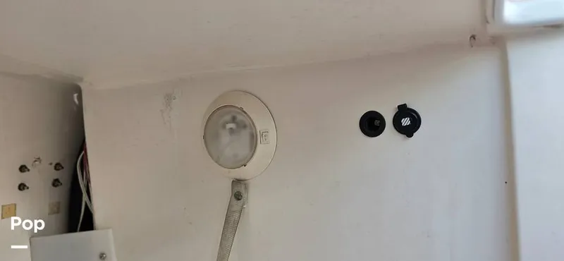 Slide: The Image of Angler 204 WA Limited Edition 2007 - 15641337