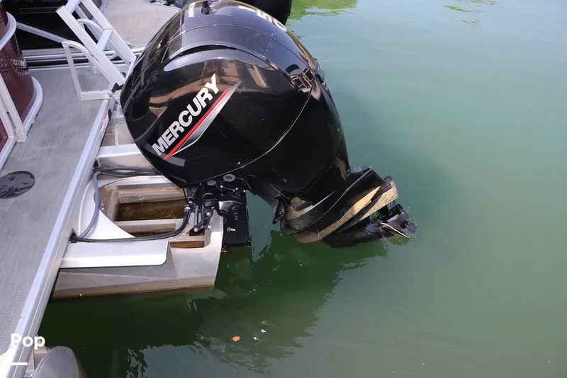 Slide: The Image of Godfrey 2286 2023 - 15873037