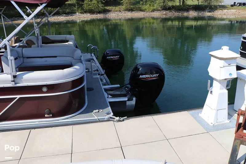 Slide: The Image of Godfrey 2286 2023 - 15873068