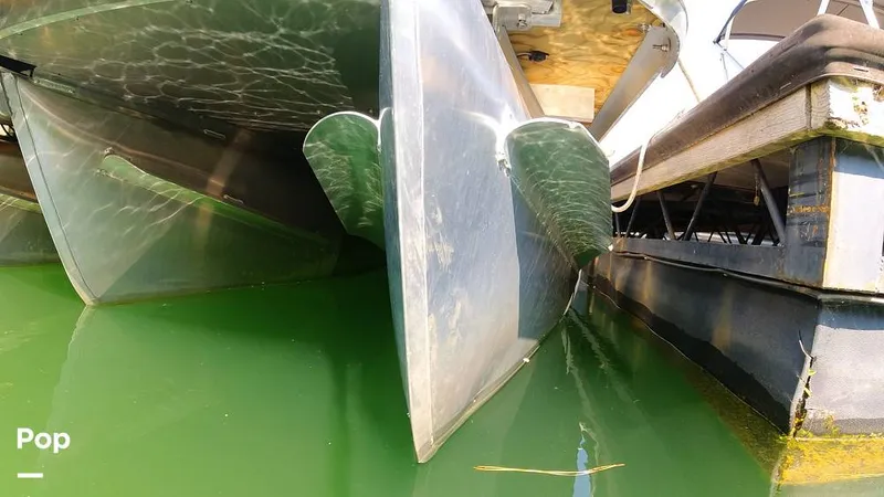 Slide: The Image of Godfrey 2286 2023 - 15873076