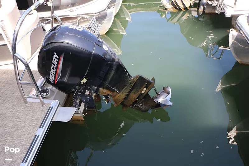 Slide: The Image of Harris 230 CR 2023 - 15841591