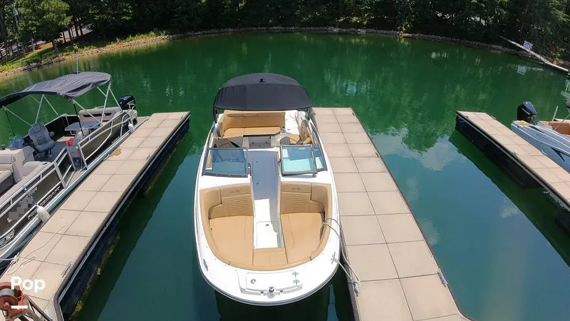 Slide: The Image of Sea Ray SPX 230 2024 - 15721426