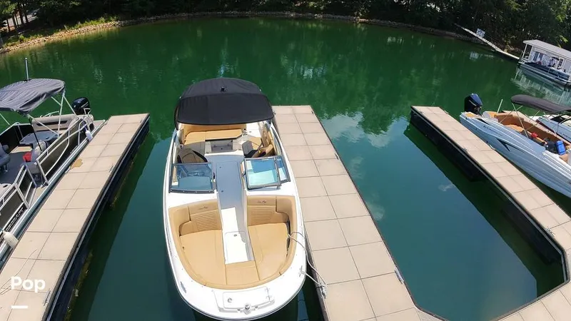 Slide: The Image of Sea Ray SPX 230 2024 - 15721500