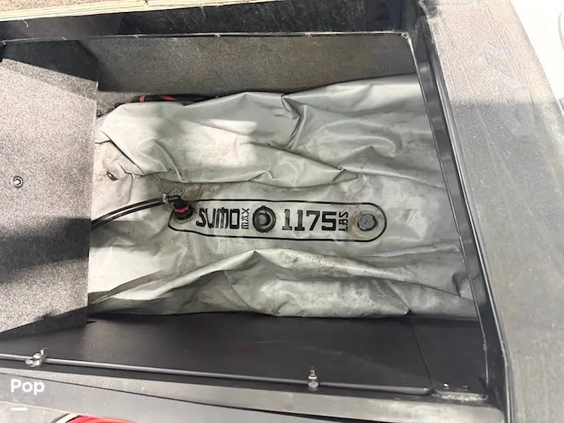 Slide: The Image of Fat Sacs - 15676090