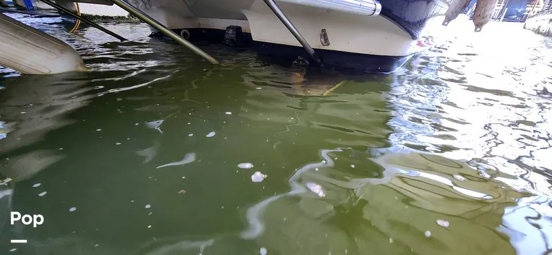 Slide: The Image of Regal 2665 Commodore 2005 - 15685399