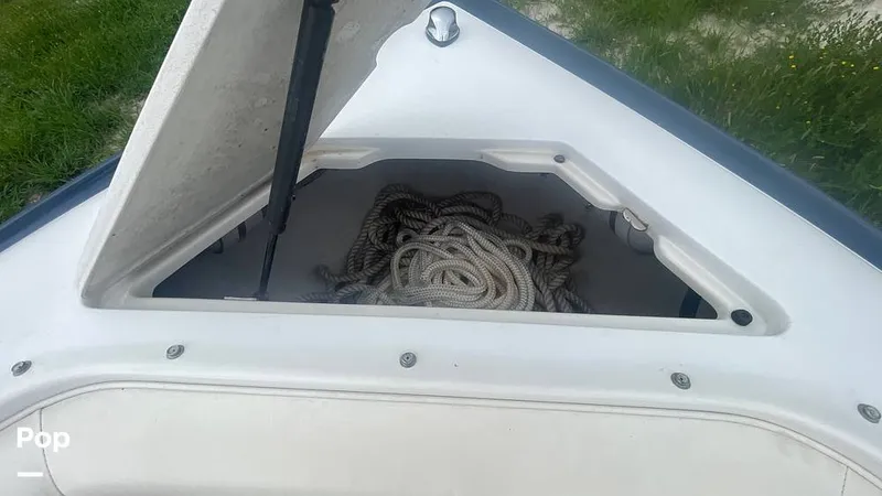 Slide: The Image of Cobalt 240 2004 - 15675635