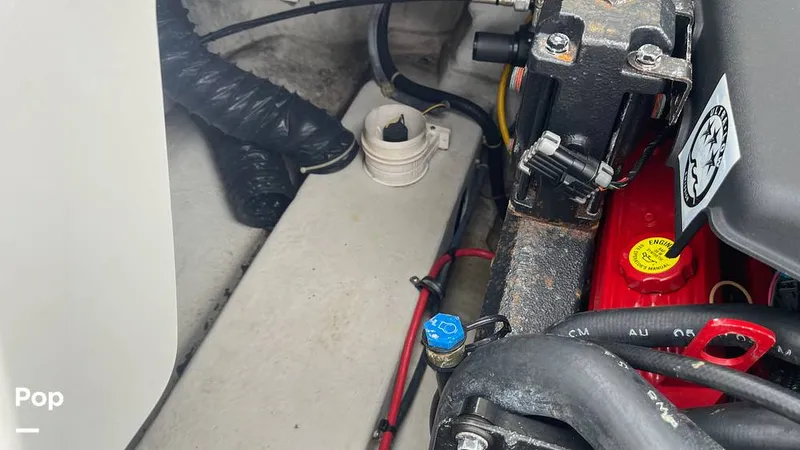 Slide: The Image of Cobalt 240 2004 - 15675649