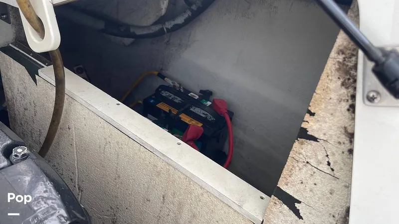 Slide: The Image of Cobalt 240 2004 - 15675650