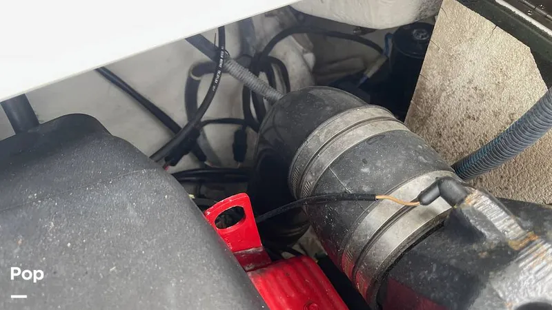 Slide: The Image of Cobalt 240 2004 - 15675655