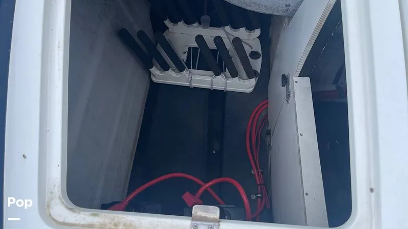 Slide: The Image of Cobalt 240 2004 - 15675612